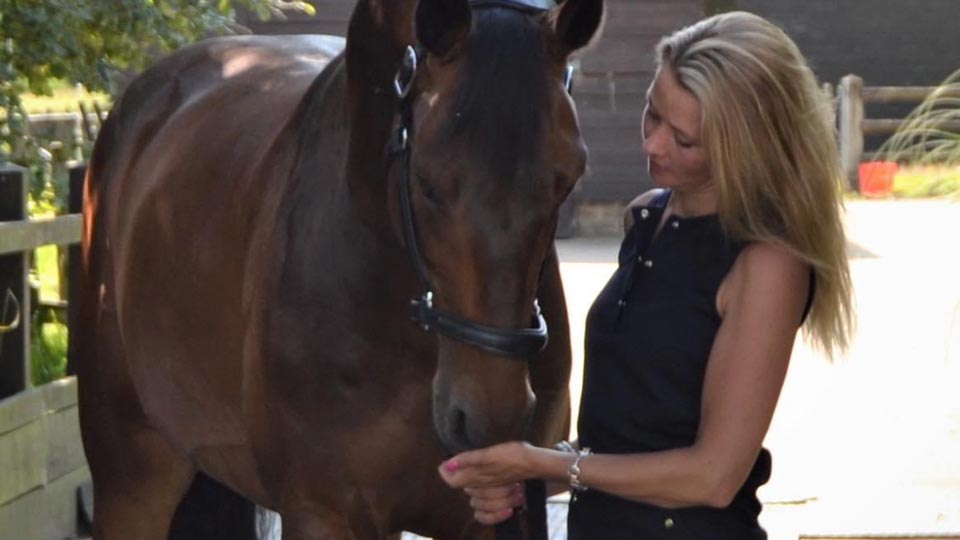 Mikaela's Equestrian - About us