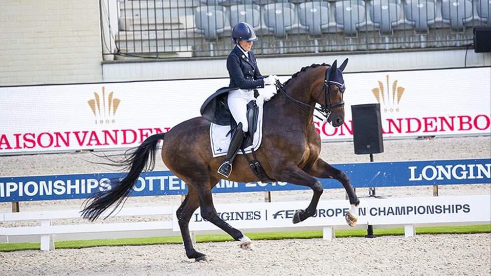 Mikaela's Equestrian - Contact