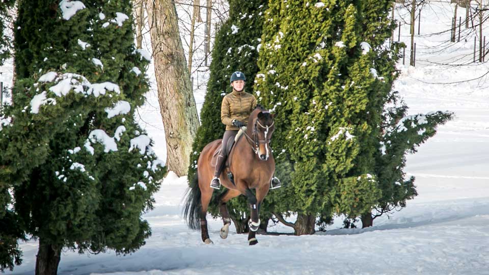 Mikaela's Equestrian - Partners